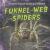 Funnel-Web Spiders