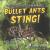 Bullet Ants Sting!