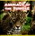 Animals of the Jungle