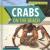 Crabs on the Beach