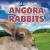 Angora Rabbits