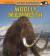 Woolly Mammoth