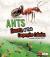 Ants