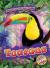 Toucans