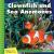 Clownfish and Sea Anemones