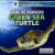 Saving the Endangered Green Sea Turtle