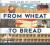 From Wheat to Bread