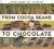 From Cocoa Beans to Chocolate