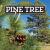 Pine Tree