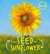 Lifecycles: seed to sunflower