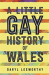 Little gay history of wales