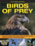 Birds of prey