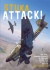 Stuka attack