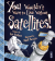 You wouldn't want to live without satellites!