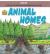 Animal homes