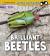 Brilliant Beetles