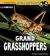 Grand Grasshoppers