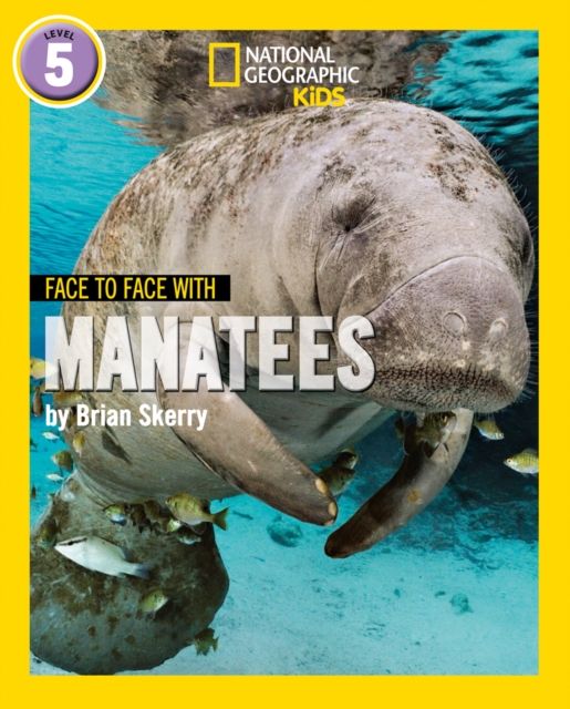 Face to face with manatees