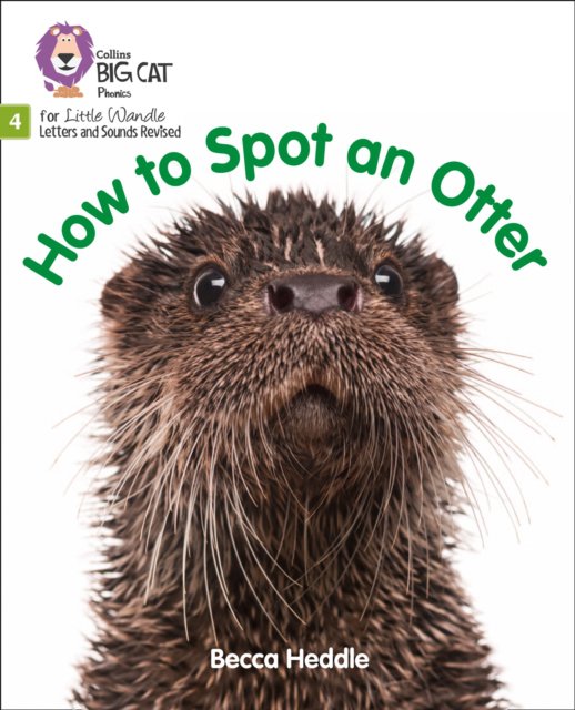 How to spot an otter