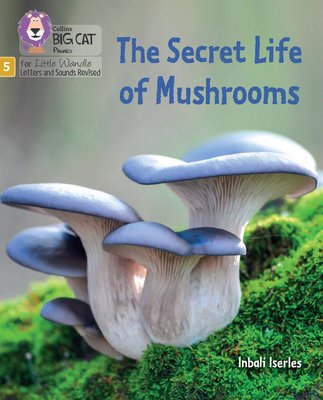 Secret life of mushrooms