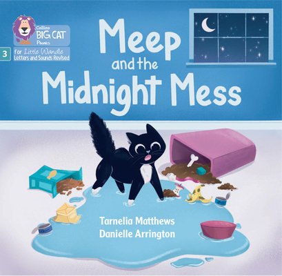 Meep and the midnight mess