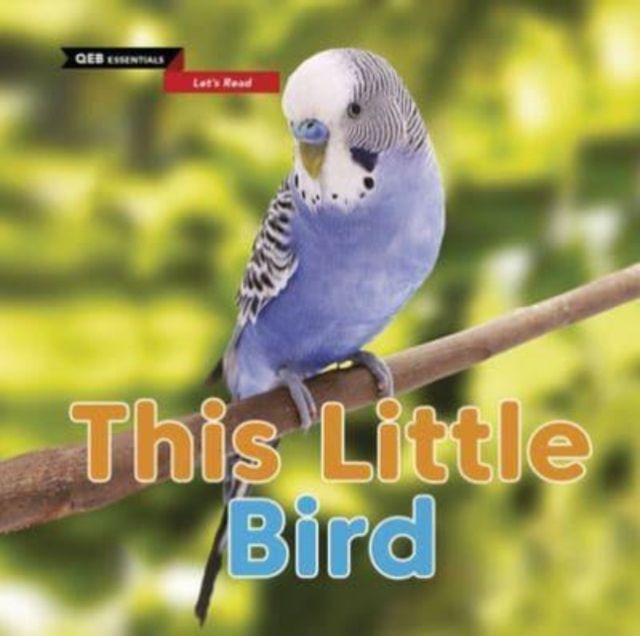 This Little Bird