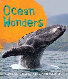 Ocean wonders