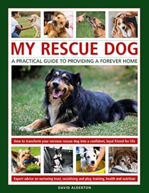 My rescue dog: a practical guide to providing a forever home