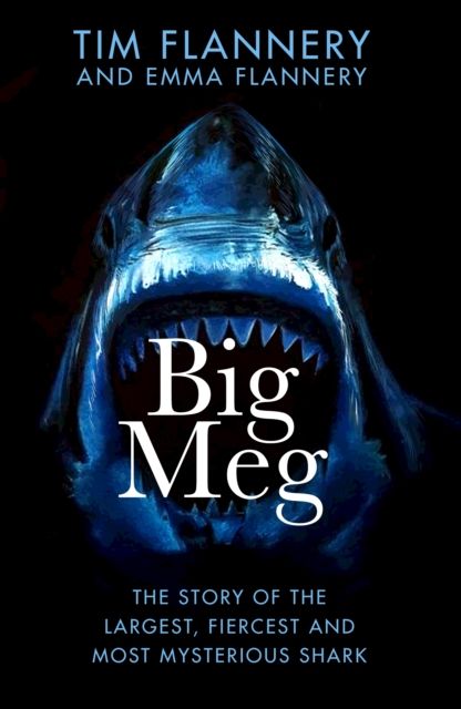 Big meg