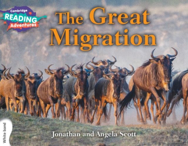 Great migration white band