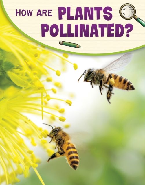 How are plants pollinated?