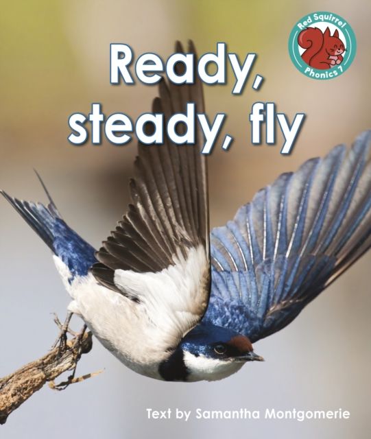 Ready, steady, fly