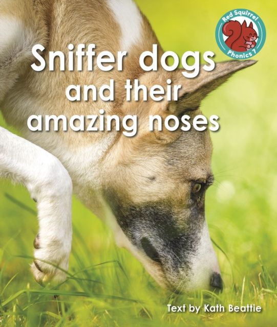 Sniffer dogs and their amazing noses