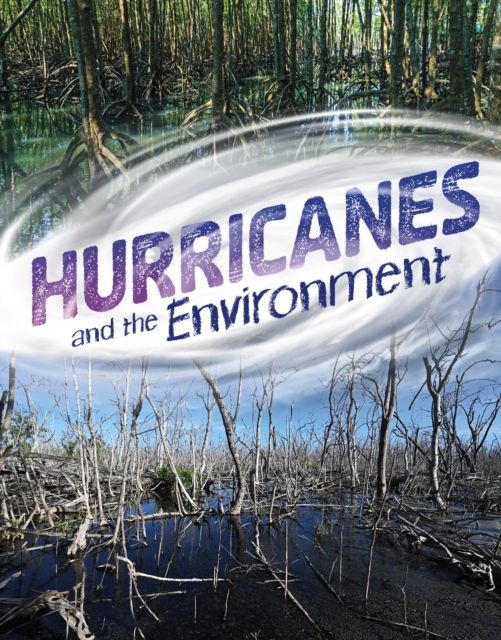 Hurricanes and the environment