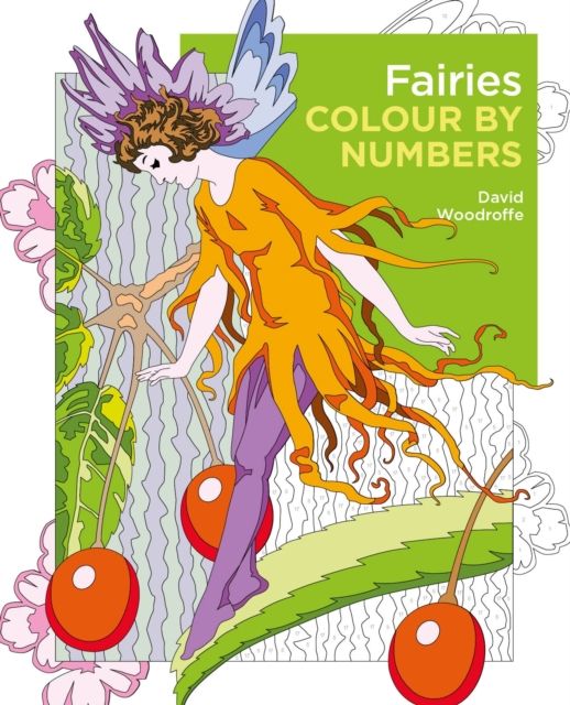 Fairies colour by numbers