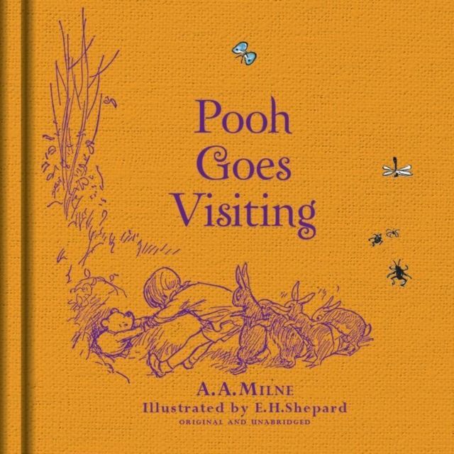 Pooh goes visiting