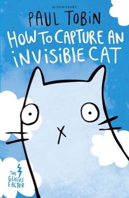 How to capture an invisible cat