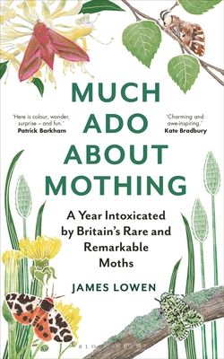 Much ado about mothing