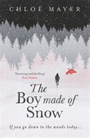 The boy made of snow