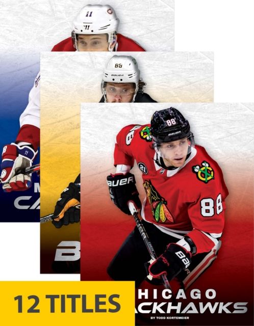 NHL Teams (Set of 12)