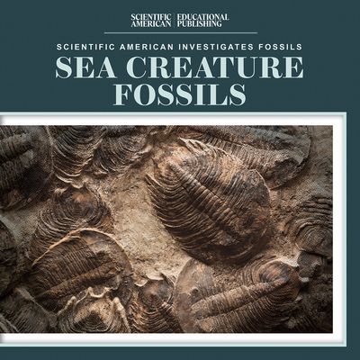 Sea Creature Fossils