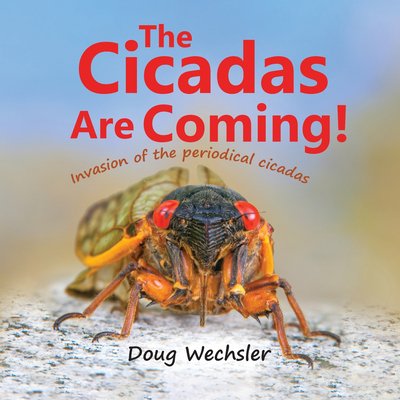 The Cicadas Are Coming!