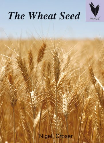 The wheat seed