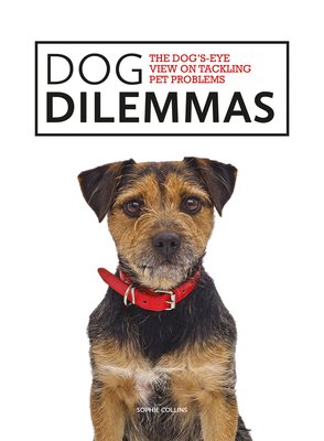 Dog dilemmas: the dog's-eye view on tackling pet problems