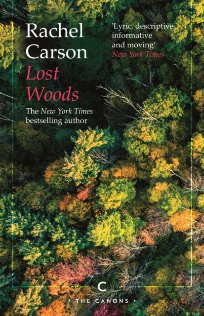 Lost woods