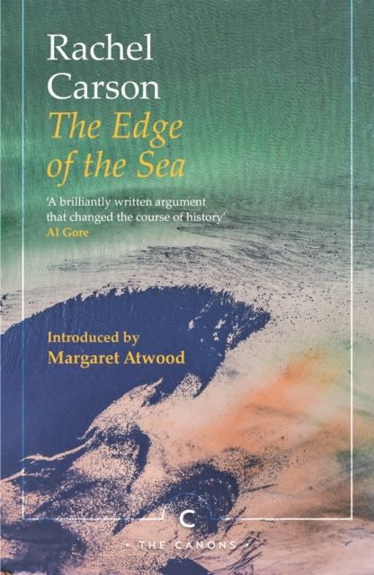 The edge of the sea