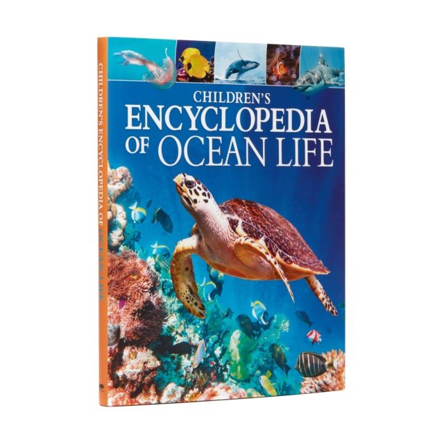 Children's encyclopedia of ocean life