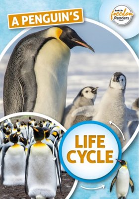 Penguin's life cycle