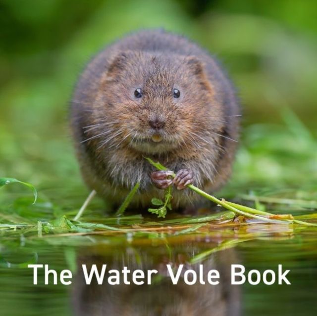 Water vole book