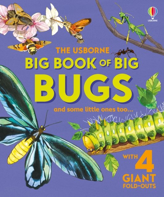 Big book of big bugs
